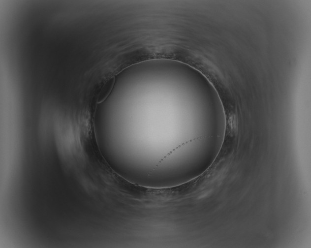 X0000100940963200806241424
