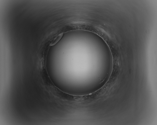 X0000100940965200806241424
