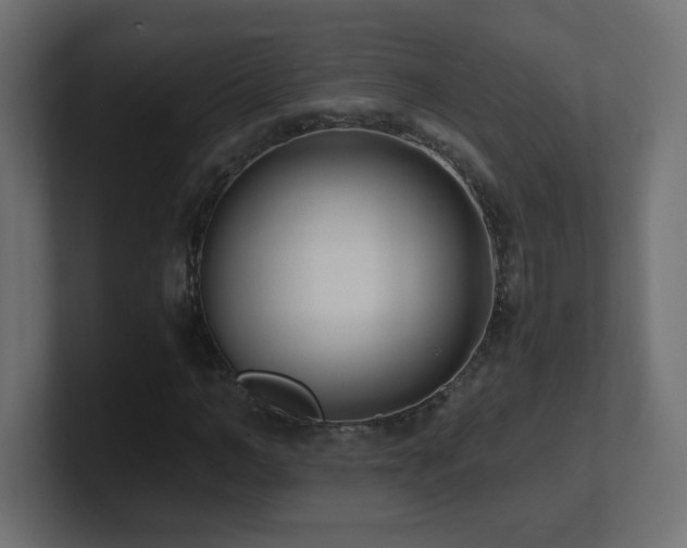 X0000100940966200806241424