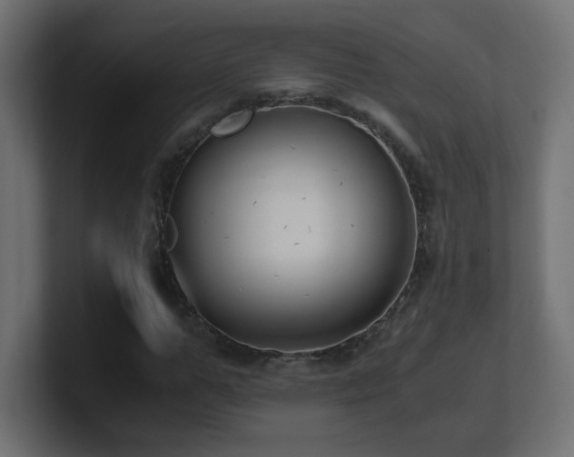 X0000100940967200806241424