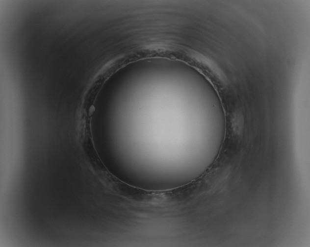 X0000100940968200806241424