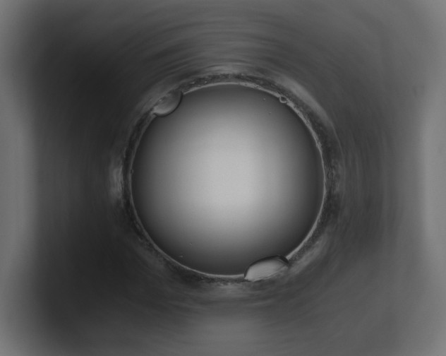 X0000100940969200806241424