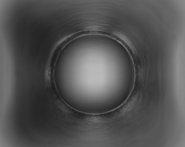 X0000100940971200806241424