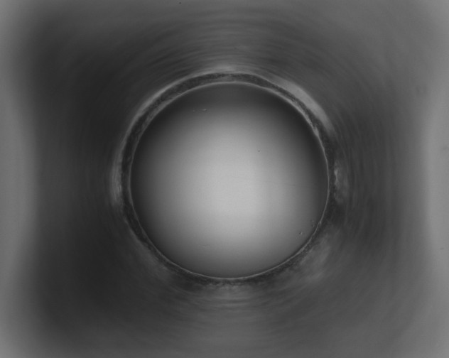 X0000100940972200806241424