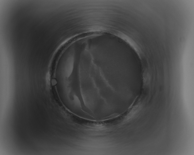 X0000100940975200806241423