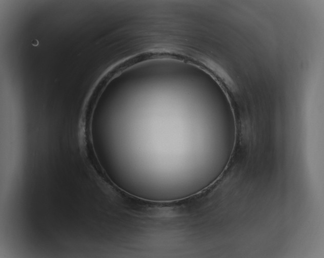 X0000100940976200806241423