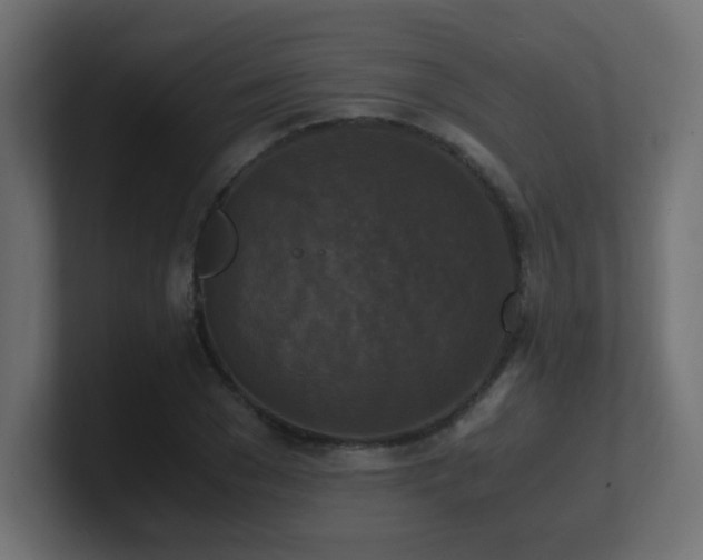 X0000100940977200806241423