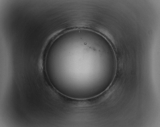 X0000100940979200806241423