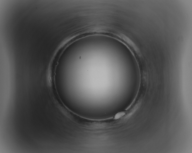 X0000100940981200806241423