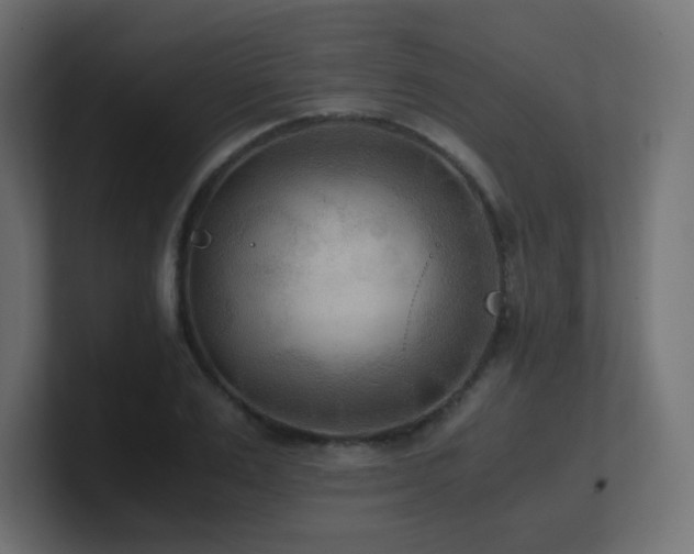 X0000100940983200806241423