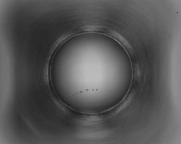 X0000100940986200806241423