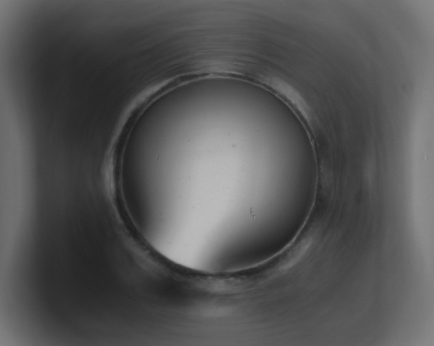 X0000100940987200806241423