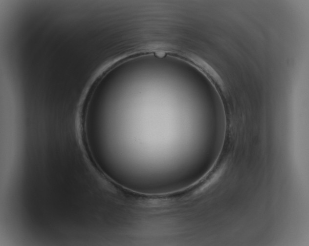X0000100940989200806241423