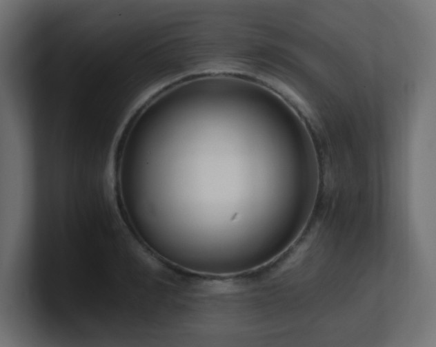 X0000100940990200806241423