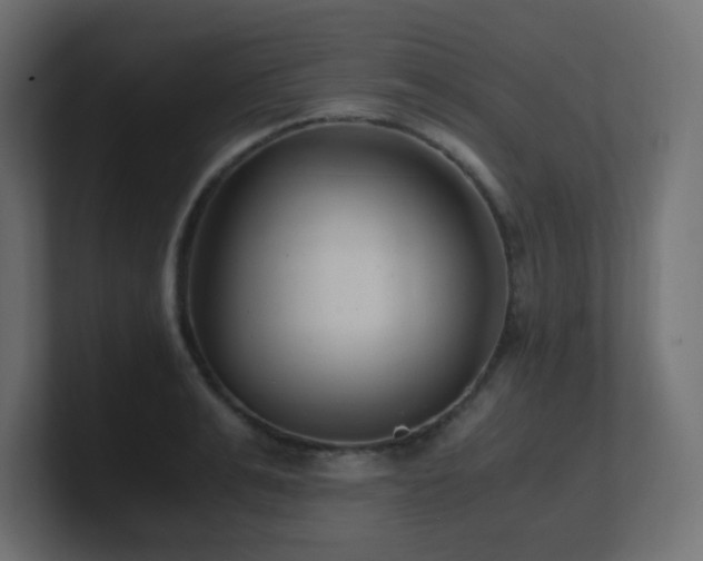 X0000100940991200806241423