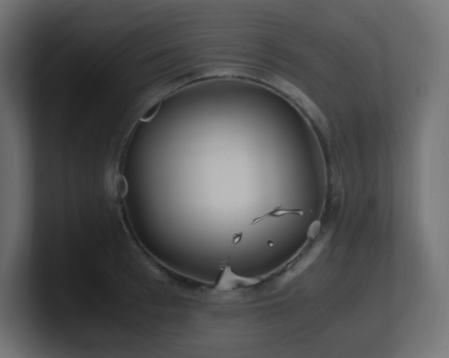 X0000100940993200806241423