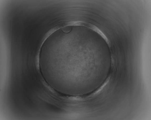 X0000100940994200806241423