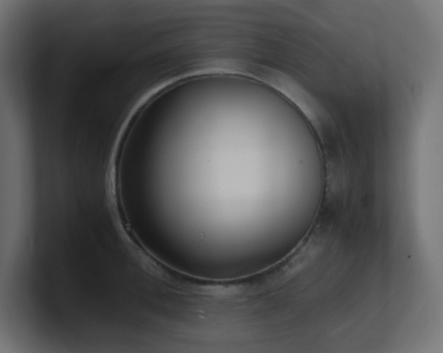 X0000100940996200806241423