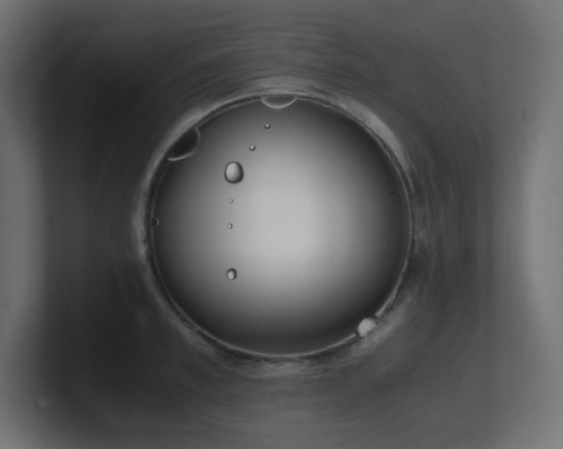 X0000100940997200806241423