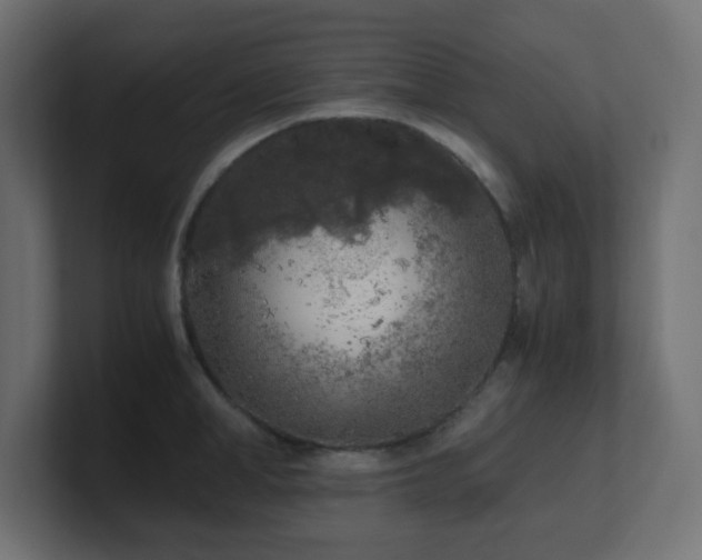 X0000100940998200806241423