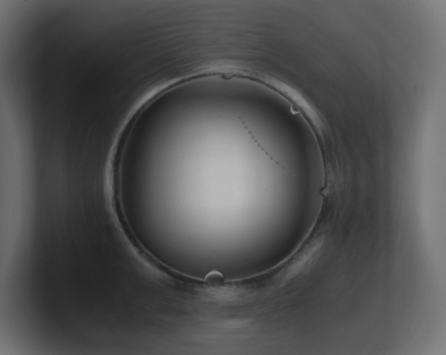 X0000100940999200806241423
