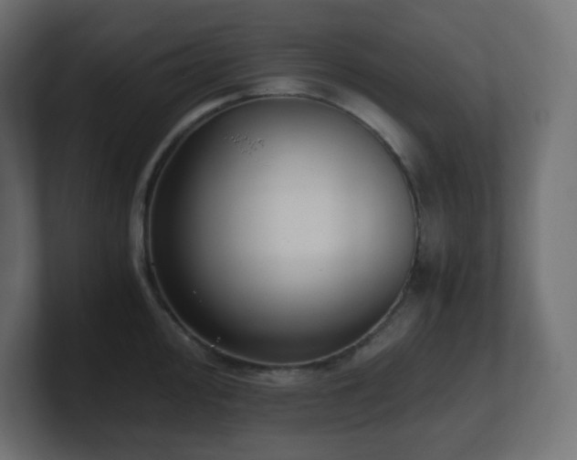 X0000100941000200806241423
