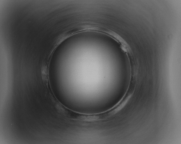 X0000100941001200806241423