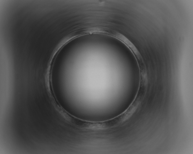 X0000100941002200806241423