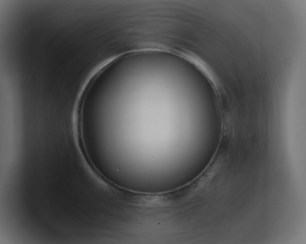 X0000100941003200806241423