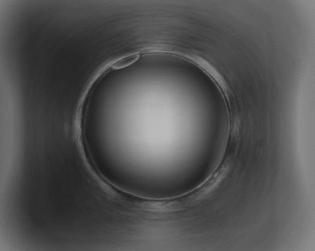 X0000100941005200806241423