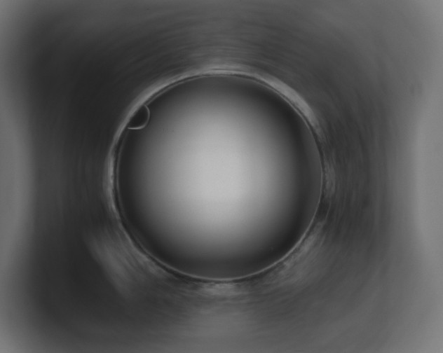 X0000100941006200806241423