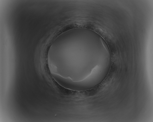 X0000100941009200806241422