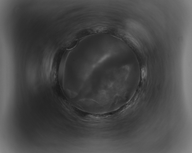 X0000100941011200806241422