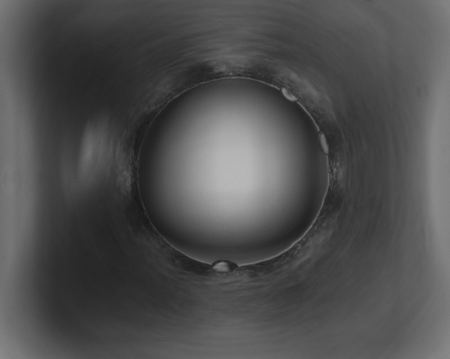 X0000100941012200806241422