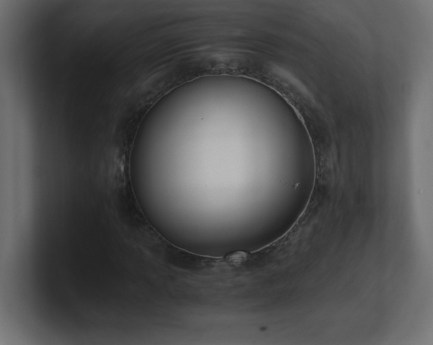 X0000100941013200806241422