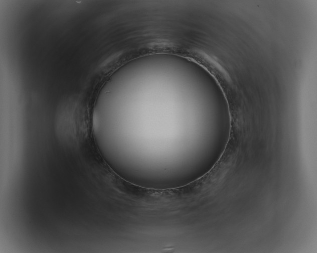 X0000100941015200806241422