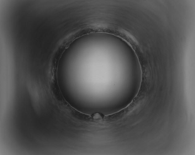 X0000100941016200806241422
