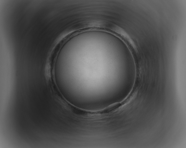X0000100941019200806241422