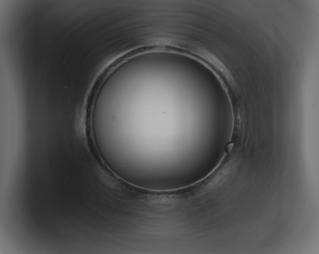 X0000100941020200806241422