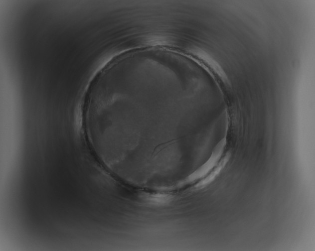 X0000100941023200806241422