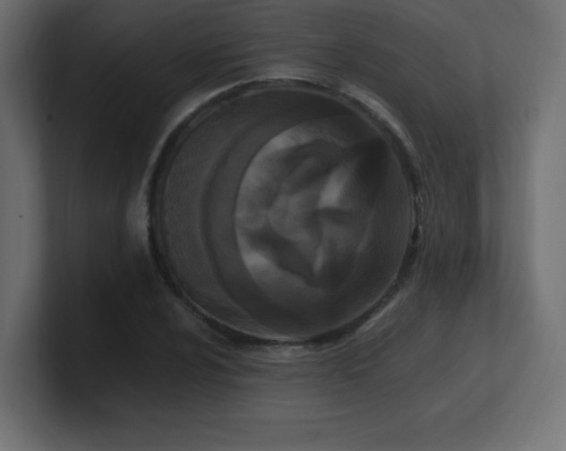 X0000100941024200806241422