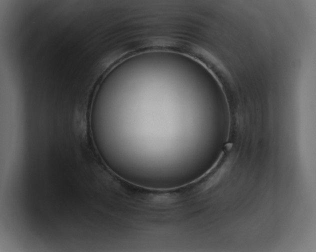 X0000100941025200806241422