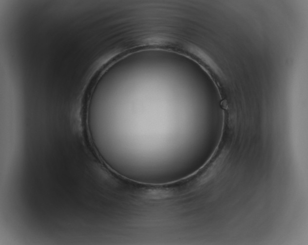 X0000100941026200806241422