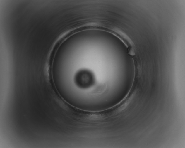 X0000100941029200806241423