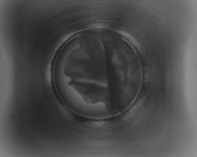 X0000100941031200806241423