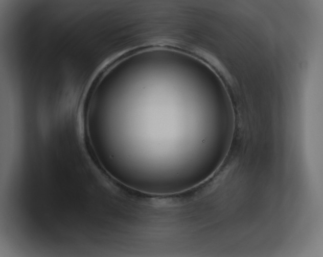 X0000100941032200806241423