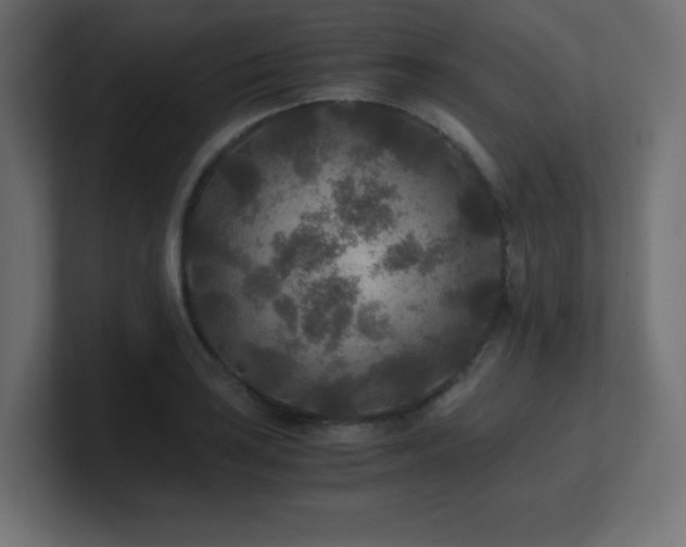 X0000100941035200806241423