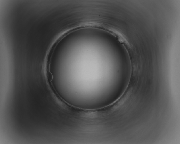X0000100941038200806241423