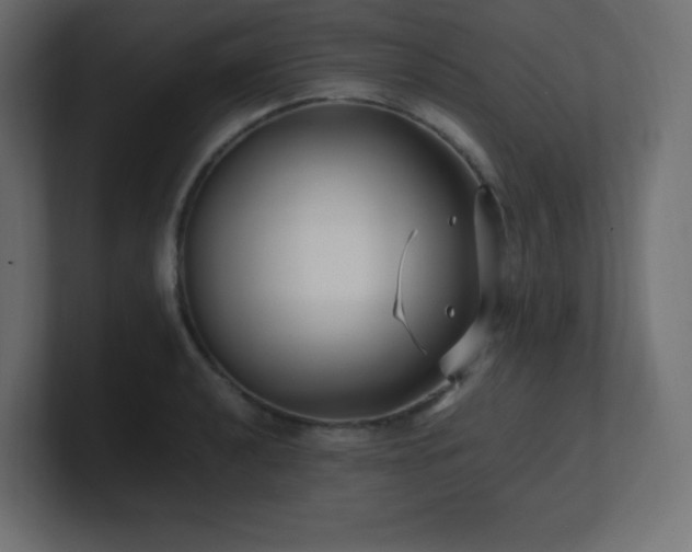 X0000100941040200806241423