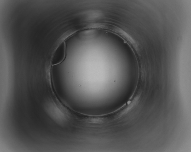 X0000100941041200806241423